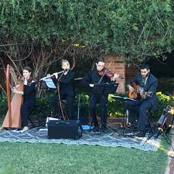 Erin Shore Productions - Folk Music Bands in D/FW, profile image
