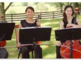 Haase String Quartet - String Quartet - Fairfax, VA - Hero Gallery 1