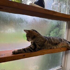Gallery Photo 27