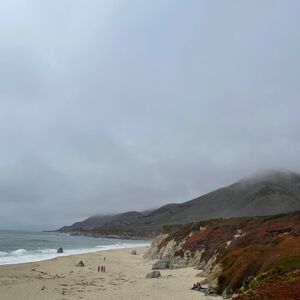 Gallery Photo 15