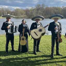 Mariachi Los Rancheros CT, profile image