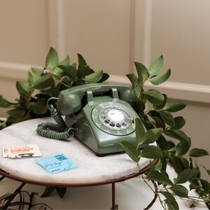 Gallery Photo 54