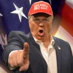 Donald Trump Impersonator, profile image