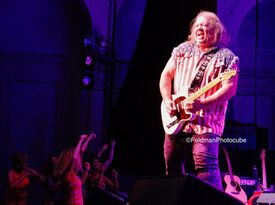 Spencer Road Band - Classic Rock Band - Tampa, FL - Hero Gallery 1