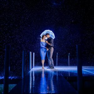 Gallery Photo 41