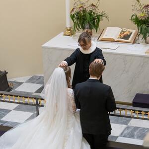 Gallery Photo 59