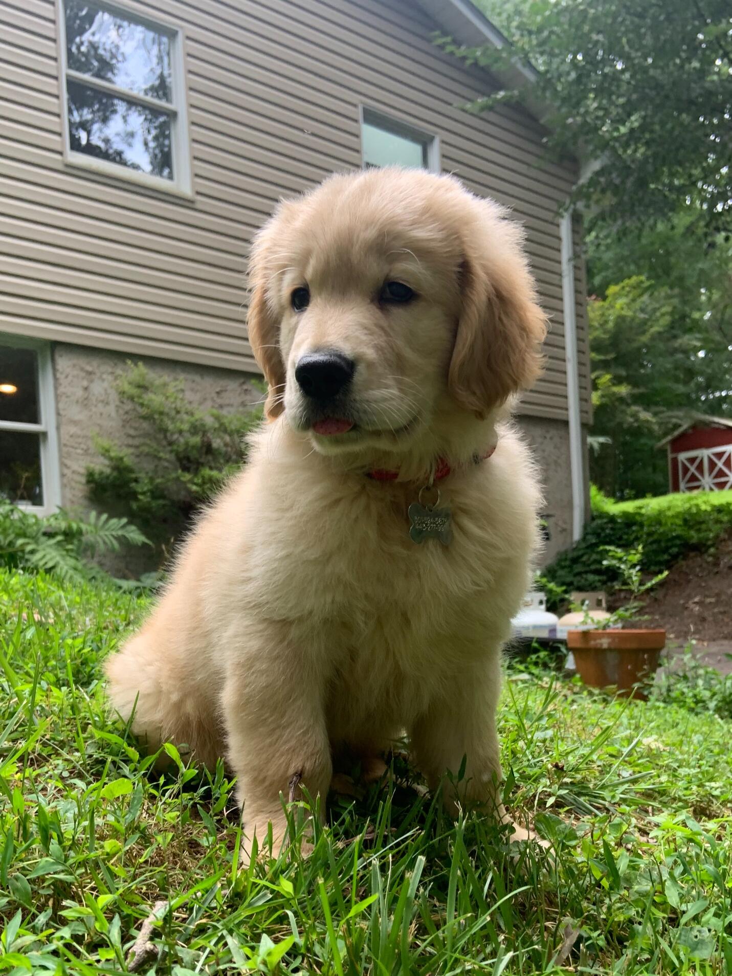 We moved in together and picked up our son, Bubba!