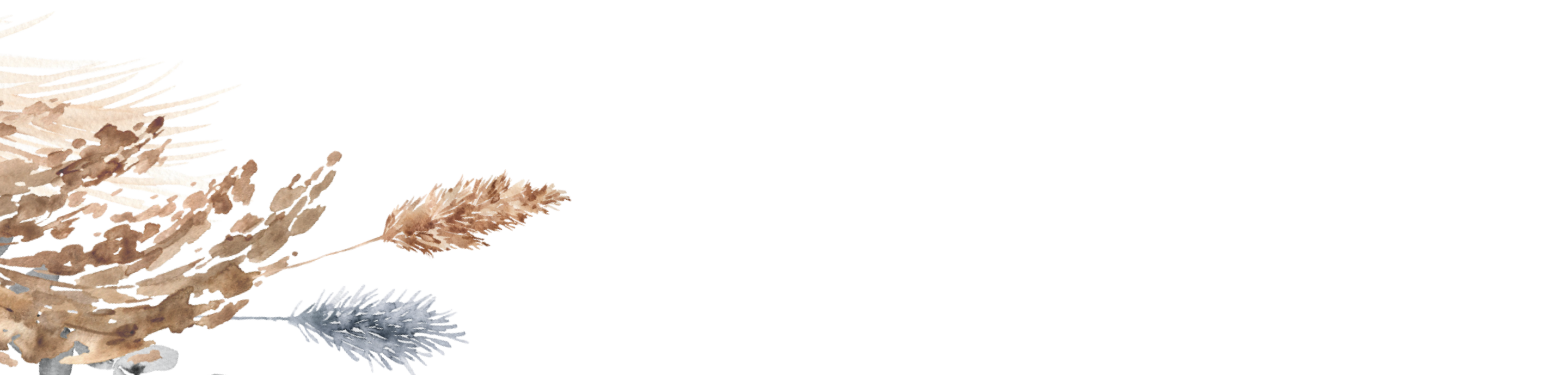 Bottom Theme Image