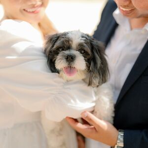 Gallery Photo 22