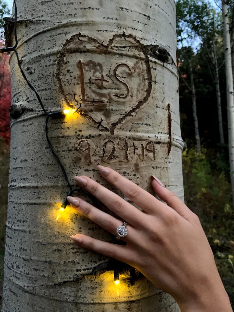 Remember the Aspen forest I mentioned earlier? Here's that tree we carved our initials into.