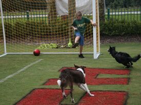 Soccer Dogs - Interactive Game Show Host - Ocala, FL - Hero Gallery 4