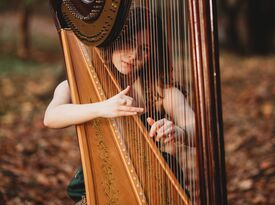 Heavenly Ambience Harp - Classical, Pop, Any Genre - Harpist - Cleveland, OH - Hero Gallery 1