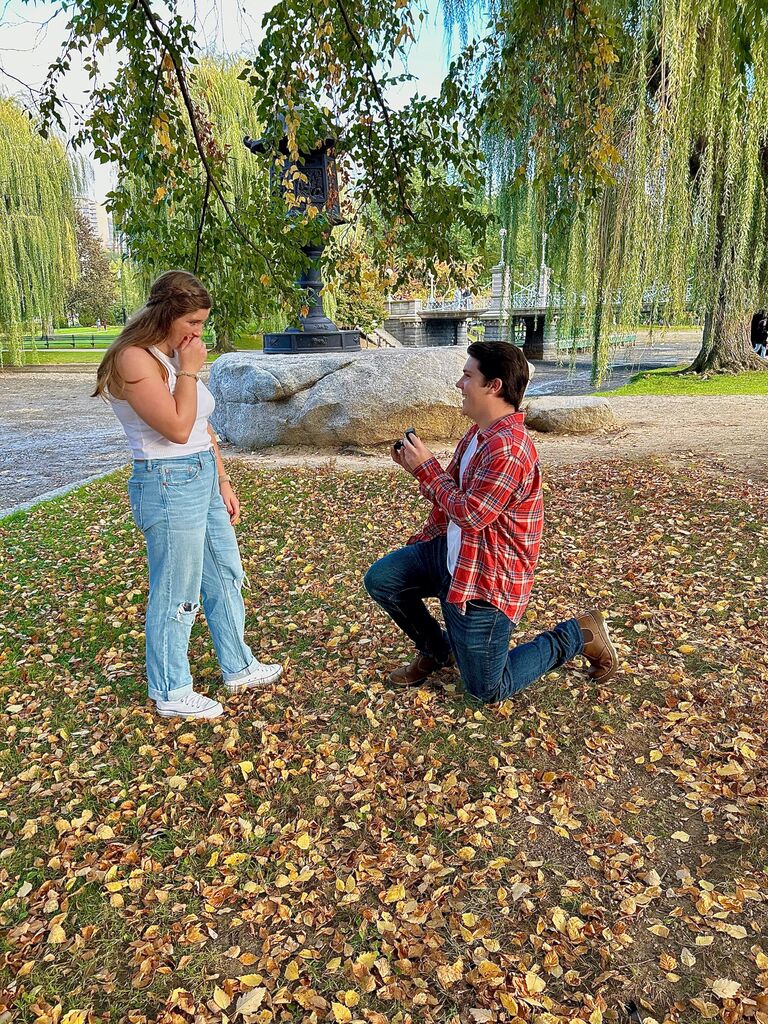 The day Justin proposed in the Boston Public Gardens 