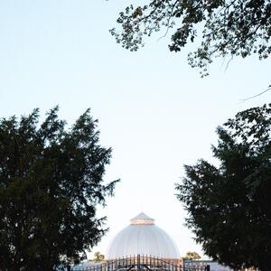 Gallery Photo 57