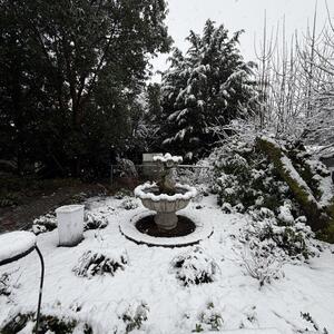 Gallery Photo 52