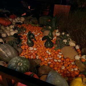 Gallery Photo 11