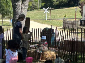 Tails of Redwood Trails - Animal For A Party - Felton, CA - Hero Gallery 1