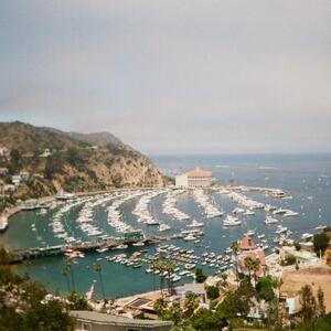 Gallery Photo 177