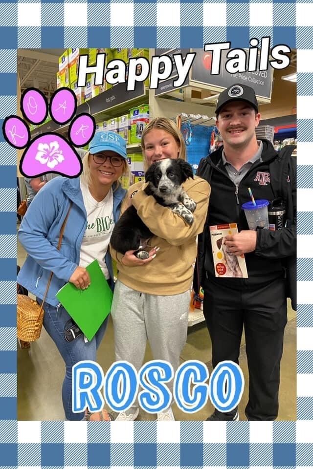Adopted a dog together!