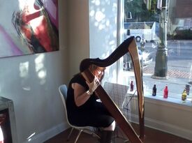 Michele Roger - Harpist - Walled Lake, MI - Hero Gallery 1