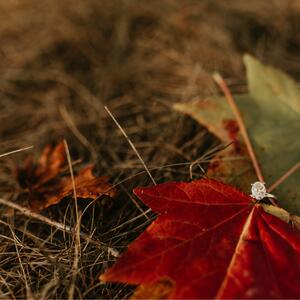 Gallery Photo 22