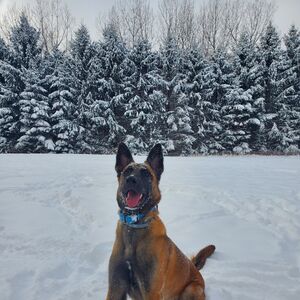 Gallery Photo 49