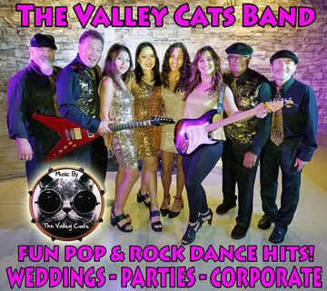 Valley Cats Band - Cover Band - Fresno, CA - Hero Main