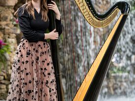 Harpist Nicole Lynn - Harpist - Waco, TX - Hero Gallery 3