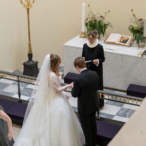 Gallery Photo 43
