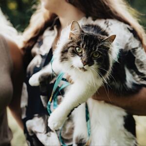 Gallery Photo 44