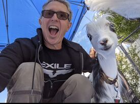 Cute & Cuddlee Mobile Petting Zoo - Animal For A Party - San Ramon, CA - Hero Gallery 2