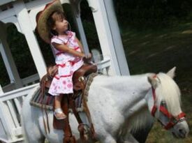 ABC Pony Rides and petting zoo - Pony Rides - Neshanic Station, NJ - Hero Gallery 1