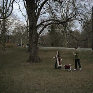 Gallery Photo 35