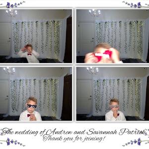 Gallery Photo 31