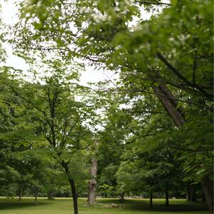 Gallery Photo 30
