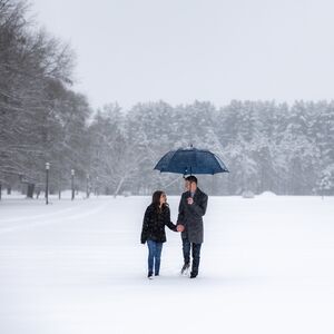 Gallery Photo 9