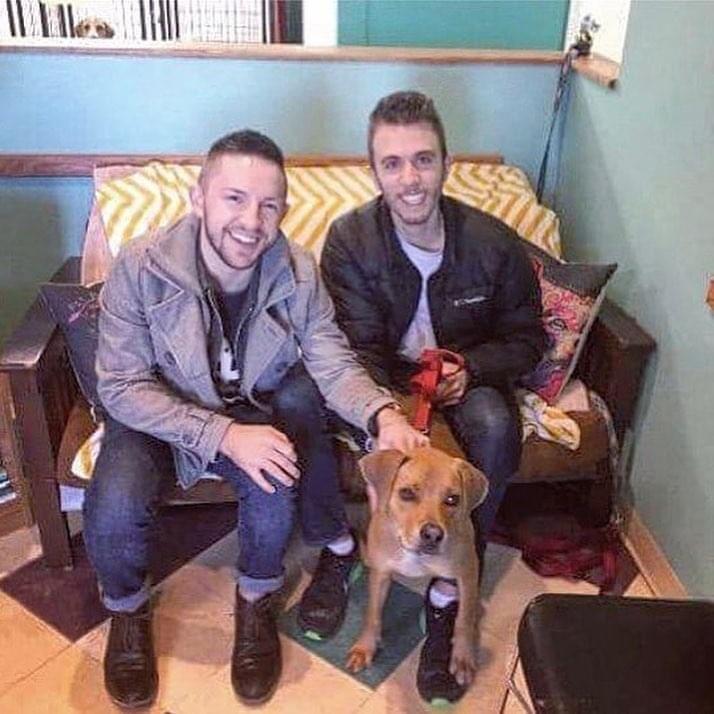 Our lives were forever changed when we adopted Casper (then Zander) from Helping Hounds dog rescue.