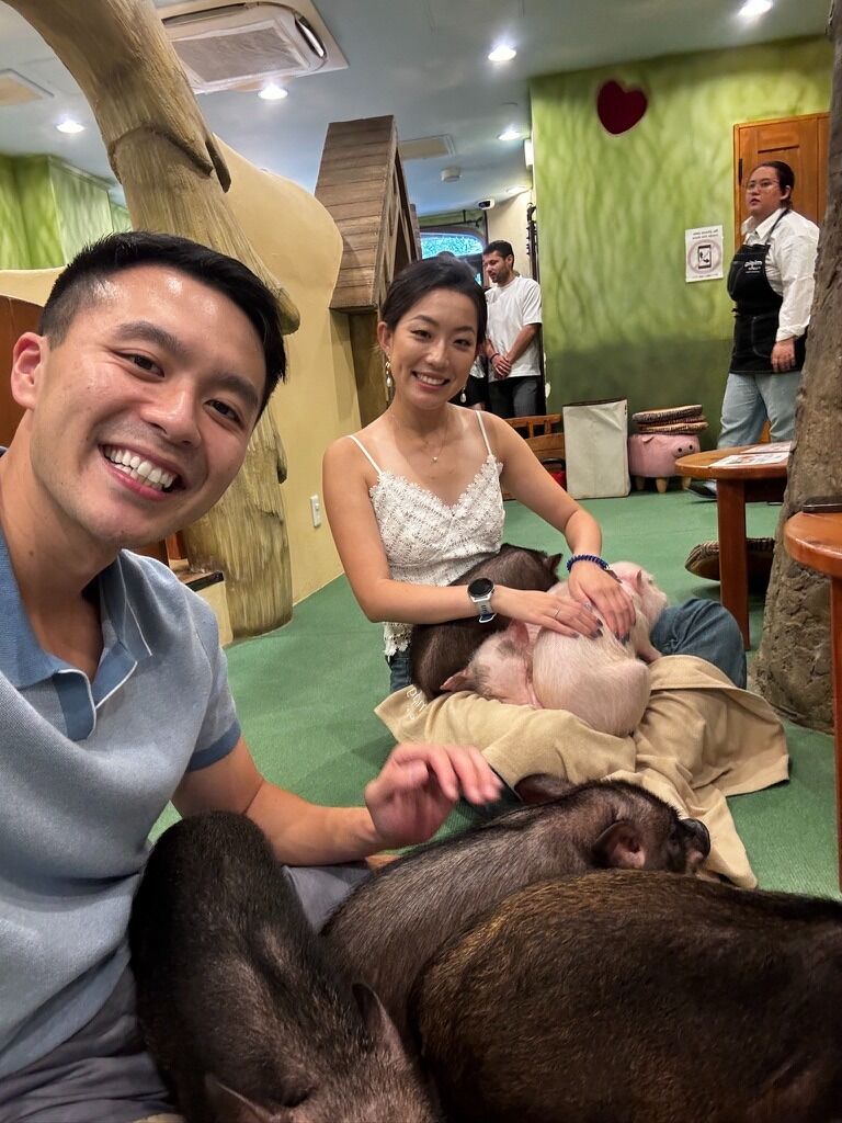 Visiting a mini pig cafe in Tokyo