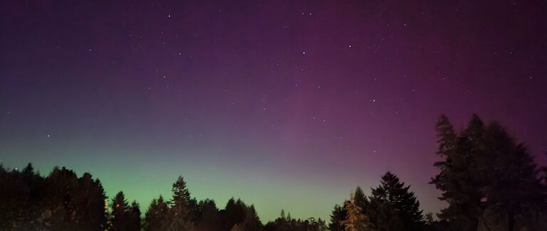 Brandon drove me around town at 1am to get a glimpse of the northern lights. 