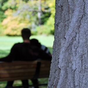 Gallery Photo 27