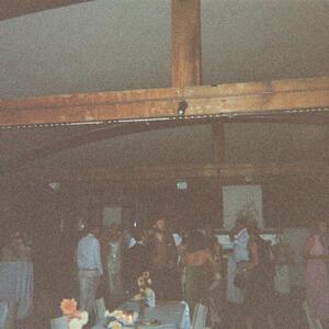 Gallery Photo 83