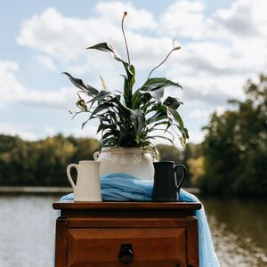 Gallery Photo 27