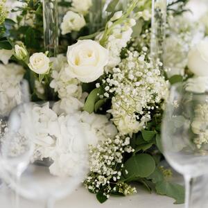 Gallery Photo 318