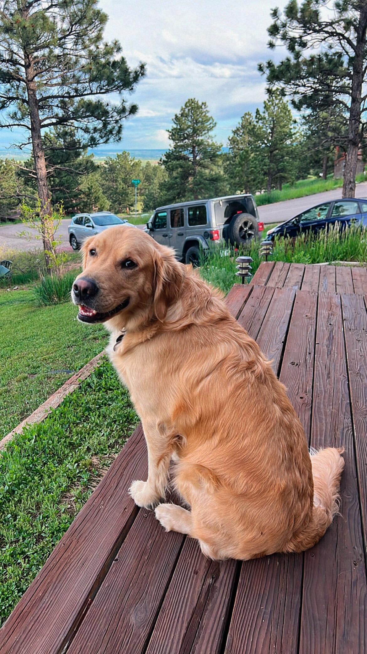 We brought home GB in May 2021. 