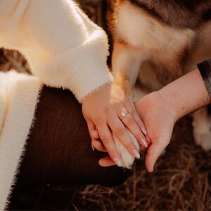 Gallery Photo 31