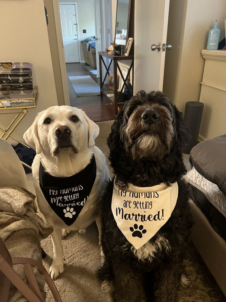 Our family. Brody and Panda can't wait for our next chapter as Mr. and Mrs. Baldwin!