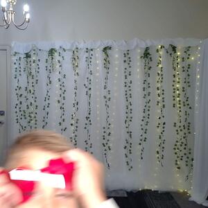 Gallery Photo 185