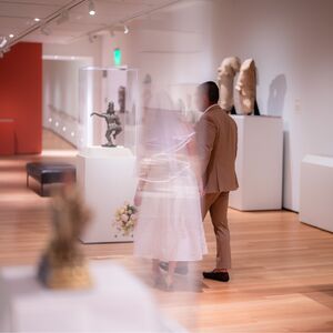 Gallery Photo 11