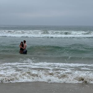 Gallery Photo 6