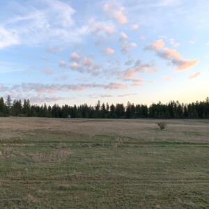 Gallery Photo 12